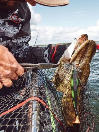 Экстрактор металлический Lucky John BBS 279мм для рыбалки, Экстрактор металлический Lucky John BBS 279мм отзывы, Экстрактор металлический Lucky John BBS 279мм купить, Экстрактор металлический Lucky John BBS 279мм купить в интернет магазине, Экстрактор металлический Lucky John BBS 279мм выбрать, Экстрактор металлический Lucky John BBS 279мм обзор, Экстрактор металлический Lucky John BBS 279мм купить в розничном магазине