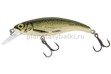 Воблер плавающий Salmo SLICK STICK F 60мм, 3гр., 1м, цвет OB для рыбалки, Воблер плавающий Salmo SLICK STICK F 60мм, 3гр., 1м, цвет OB отзывы, Воблер плавающий Salmo SLICK STICK F 60мм, 3гр., 1м, цвет OB купить, Воблер плавающий Salmo SLICK STICK F 60мм, 3гр., 1м, цвет OB купить в интернет магазине, Воблер плавающий Salmo SLICK STICK F 60мм, 3гр., 1м, цвет OB выбрать, Воблер плавающий Salmo SLICK STICK F 60мм, 3гр., 1м, цвет OB обзор, Воблер плавающий Salmo SLICK STICK F 60мм, 3гр., 1м, цвет OB купить в розничном магазине