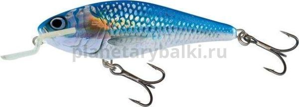 Воблер плавающий Salmo EXECUTOR SR 120мм, 33гр., 2,5-5м, цвет HSH для рыбалки, Воблер плавающий Salmo EXECUTOR SR 120мм, 33гр., 2,5-5м, цвет HSH отзывы, Воблер плавающий Salmo EXECUTOR SR 120мм, 33гр., 2,5-5м, цвет HSH купить, Воблер плавающий Salmo EXECUTOR SR 120мм, 33гр., 2,5-5м, цвет HSH купить в интернет магазине, Воблер плавающий Salmo EXECUTOR SR 120мм, 33гр., 2,5-5м, цвет HSH выбрать, Воблер плавающий Salmo EXECUTOR SR 120мм, 33гр., 2,5-5м, цвет HSH обзор, Воблер плавающий Salmo EXECUTOR SR 120мм, 33гр., 2,5-5м, цвет HSH купить в розничном магазине