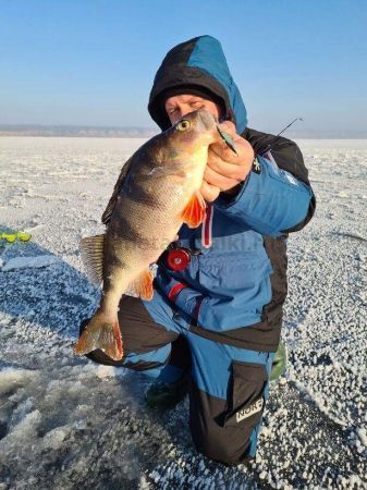 Балансир Lucky John VIKING 4 40мм, 6,5гр., 13H для рыбалки, Балансир Lucky John VIKING 4 40мм, 6,5гр., 13H отзывы, Балансир Lucky John VIKING 4 40мм, 6,5гр., 13H купить, Балансир Lucky John VIKING 4 40мм, 6,5гр., 13H купить в интернет магазине, Балансир Lucky John VIKING 4 40мм, 6,5гр., 13H выбрать, Балансир Lucky John VIKING 4 40мм, 6,5гр., 13H обзор, Балансир Lucky John VIKING 4 40мм, 6,5гр., 13H купить в розничном магазине