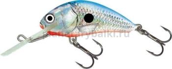Воблер плавающий Salmo HORNET F 60мм, 10гр., 2-5,6м, цвет SBS