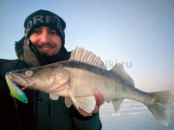 Воблер вертикальный LUCKY JOHN Pro Series BASARA VIB S тонущий 90мм, 28гр., цвет 147 для рыбалки, Воблер вертикальный LUCKY JOHN Pro Series BASARA VIB S тонущий 90мм, 28гр., цвет 147 отзывы, Воблер вертикальный LUCKY JOHN Pro Series BASARA VIB S тонущий 90мм, 28гр., цвет 147 купить, Воблер вертикальный LUCKY JOHN Pro Series BASARA VIB S тонущий 90мм, 28гр., цвет 147 купить в интернет магазине, Воблер вертикальный LUCKY JOHN Pro Series BASARA VIB S тонущий 90мм, 28гр., цвет 147 выбрать, Воблер вертикальный LUCKY JOHN Pro Series BASARA VIB S тонущий 90мм, 28гр., цвет 147 обзор, Воблер вертикальный LUCKY JOHN Pro Series BASARA VIB S тонущий 90мм, 28гр., цвет 147 купить в розничном магазине