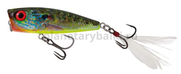 Воблер плавающий Salmo RATTLIN POP 70мм, 12,5гр., цвет RHB для рыбалки, Воблер плавающий Salmo RATTLIN POP 70мм, 12,5гр., цвет RHB отзывы, Воблер плавающий Salmo RATTLIN POP 70мм, 12,5гр., цвет RHB купить, Воблер плавающий Salmo RATTLIN POP 70мм, 12,5гр., цвет RHB купить в интернет магазине, Воблер плавающий Salmo RATTLIN POP 70мм, 12,5гр., цвет RHB выбрать, Воблер плавающий Salmo RATTLIN POP 70мм, 12,5гр., цвет RHB обзор, Воблер плавающий Salmo RATTLIN POP 70мм, 12,5гр., цвет RHB купить в розничном магазине