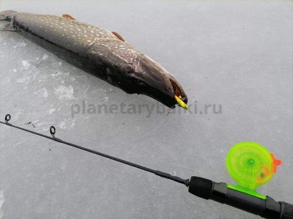 Балансир Lucky John NORDIC 6 60мм, 36гр., 301RT для рыбалки, Балансир Lucky John NORDIC 6 60мм, 36гр., 301RT отзывы, Балансир Lucky John NORDIC 6 60мм, 36гр., 301RT купить, Балансир Lucky John NORDIC 6 60мм, 36гр., 301RT купить в интернет магазине, Балансир Lucky John NORDIC 6 60мм, 36гр., 301RT выбрать, Балансир Lucky John NORDIC 6 60мм, 36гр., 301RT обзор, Балансир Lucky John NORDIC 6 60мм, 36гр., 301RT купить в розничном магазине