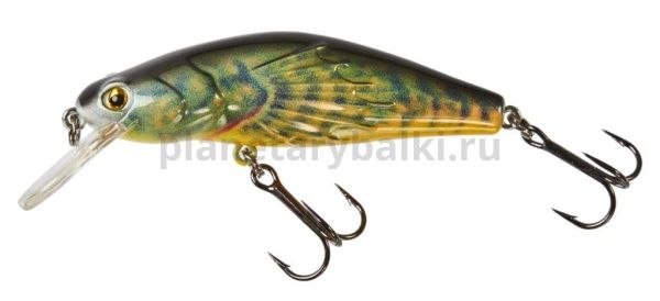 Воблер суспендер LJ Original BULLHEAD SP 65мм, 10гр., до 1м, цвет BH01 для рыбалки, Воблер суспендер LJ Original BULLHEAD SP 65мм, 10гр., до 1м, цвет BH01 отзывы, Воблер суспендер LJ Original BULLHEAD SP 65мм, 10гр., до 1м, цвет BH01 купить, Воблер суспендер LJ Original BULLHEAD SP 65мм, 10гр., до 1м, цвет BH01 купить в интернет магазине, Воблер суспендер LJ Original BULLHEAD SP 65мм, 10гр., до 1м, цвет BH01 выбрать, Воблер суспендер LJ Original BULLHEAD SP 65мм, 10гр., до 1м, цвет BH01 обзор, Воблер суспендер LJ Original BULLHEAD SP 65мм, 10гр., до 1м, цвет BH01 купить в розничном магазине