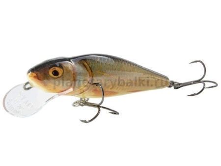 Воблер плавающий Salmo PERCH DR 012 120мм, 36гр., 4м, цвет RP