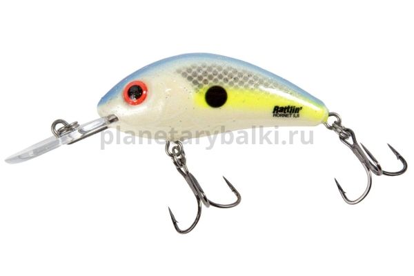 Воблер плавающий Salmo HORNET RATTLIN F 55мм, 10,5гр., 2-4м, цвет SXS для рыбалки, Воблер плавающий Salmo HORNET RATTLIN F 55мм, 10,5гр., 2-4м, цвет SXS отзывы, Воблер плавающий Salmo HORNET RATTLIN F 55мм, 10,5гр., 2-4м, цвет SXS купить, Воблер плавающий Salmo HORNET RATTLIN F 55мм, 10,5гр., 2-4м, цвет SXS купить в интернет магазине, Воблер плавающий Salmo HORNET RATTLIN F 55мм, 10,5гр., 2-4м, цвет SXS выбрать, Воблер плавающий Salmo HORNET RATTLIN F 55мм, 10,5гр., 2-4м, цвет SXS обзор, Воблер плавающий Salmo HORNET RATTLIN F 55мм, 10,5гр., 2-4м, цвет SXS купить в розничном магазине