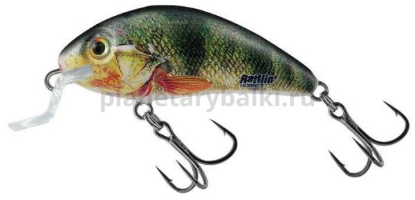 Воблер плавающий Salmo HORNET RATTLIN F 45мм, 6гр., 1,8-3,4м, цвет SNP