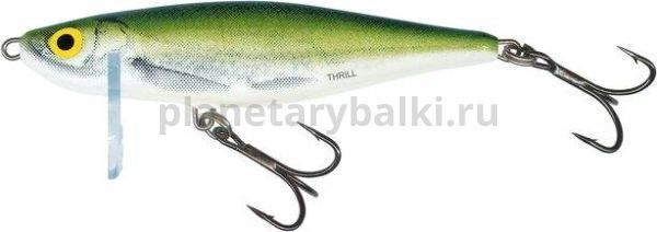 Воблер тонущий Salmo THRILL S 05 50мм, 6,5гр., 0,5-5м, цвет OB