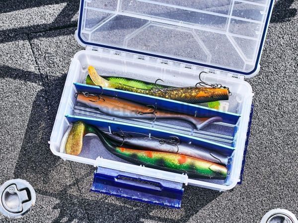 Виброхвосты Lucky John 3D Series KUBIRA SWIM SHAD 7,0in 17,5см, цвет PG20, 2шт. для рыбалки, Виброхвосты Lucky John 3D Series KUBIRA SWIM SHAD 7,0in 17,5см, цвет PG20, 2шт. отзывы, Виброхвосты Lucky John 3D Series KUBIRA SWIM SHAD 7,0in 17,5см, цвет PG20, 2шт. купить, Виброхвосты Lucky John 3D Series KUBIRA SWIM SHAD 7,0in 17,5см, цвет PG20, 2шт. купить в интернет магазине, Виброхвосты Lucky John 3D Series KUBIRA SWIM SHAD 7,0in 17,5см, цвет PG20, 2шт. выбрать, Виброхвосты Lucky John 3D Series KUBIRA SWIM SHAD 7,0in 17,5см, цвет PG20, 2шт. обзор, Виброхвосты Lucky John 3D Series KUBIRA SWIM SHAD 7,0in 17,5см, цвет PG20, 2шт. купить в розничном магазине