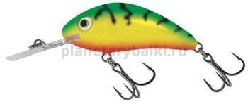 Воблер плавающий Salmo HORNET RATTLIN F 55мм, 10,5гр., 2-4м, цвет GT