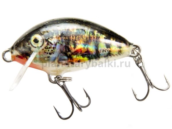 Воблер тонущий Salmo TINY S 30мм, 2,5гр., 0,3-0,5м, цвет HS для рыбалки, Воблер тонущий Salmo TINY S 30мм, 2,5гр., 0,3-0,5м, цвет HS отзывы, Воблер тонущий Salmo TINY S 30мм, 2,5гр., 0,3-0,5м, цвет HS купить, Воблер тонущий Salmo TINY S 30мм, 2,5гр., 0,3-0,5м, цвет HS купить в интернет магазине, Воблер тонущий Salmo TINY S 30мм, 2,5гр., 0,3-0,5м, цвет HS выбрать, Воблер тонущий Salmo TINY S 30мм, 2,5гр., 0,3-0,5м, цвет HS обзор, Воблер тонущий Salmo TINY S 30мм, 2,5гр., 0,3-0,5м, цвет HS купить в розничном магазине