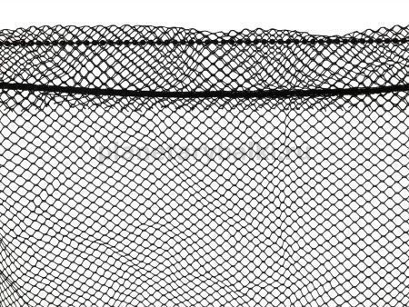 Подсачник складной Salmo телескопический 250х61х61см для рыбалки, Подсачник складной Salmo телескопический 250х61х61см отзывы, Подсачник складной Salmo телескопический 250х61х61см купить, Подсачник складной Salmo телескопический 250х61х61см купить в интернет магазине, Подсачник складной Salmo телескопический 250х61х61см выбрать, Подсачник складной Salmo телескопический 250х61х61см обзор, Подсачник складной Salmo телескопический 250х61х61см купить в розничном магазине