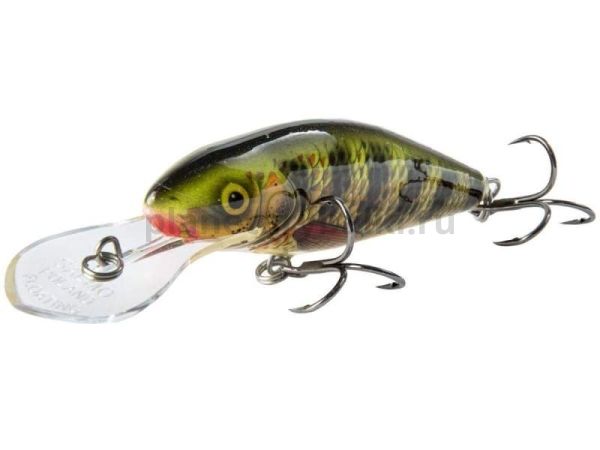 Воблер плавающий Salmo PERCH DR 80мм, 14гр., 3-6м, цвет HOP