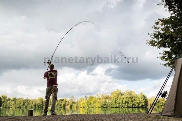 Удилище карповое KORDA Kaizen Platinum 12ft 3,6м, тест 56-112гр., 3.5lb для рыбалки, Удилище карповое KORDA Kaizen Platinum 12ft 3,6м, тест 56-112гр., 3.5lb отзывы, Удилище карповое KORDA Kaizen Platinum 12ft 3,6м, тест 56-112гр., 3.5lb купить, Удилище карповое KORDA Kaizen Platinum 12ft 3,6м, тест 56-112гр., 3.5lb купить в интернет магазине, Удилище карповое KORDA Kaizen Platinum 12ft 3,6м, тест 56-112гр., 3.5lb выбрать, Удилище карповое KORDA Kaizen Platinum 12ft 3,6м, тест 56-112гр., 3.5lb обзор, Удилище карповое KORDA Kaizen Platinum 12ft 3,6м, тест 56-112гр., 3.5lb купить в розничном магазине