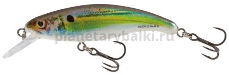 Воблер плавающий Salmo SLICK STICK F 60мм, 3гр., 1м, цвет RH для рыбалки, Воблер плавающий Salmo SLICK STICK F 60мм, 3гр., 1м, цвет RH отзывы, Воблер плавающий Salmo SLICK STICK F 60мм, 3гр., 1м, цвет RH купить, Воблер плавающий Salmo SLICK STICK F 60мм, 3гр., 1м, цвет RH купить в интернет магазине, Воблер плавающий Salmo SLICK STICK F 60мм, 3гр., 1м, цвет RH выбрать, Воблер плавающий Salmo SLICK STICK F 60мм, 3гр., 1м, цвет RH обзор, Воблер плавающий Salmo SLICK STICK F 60мм, 3гр., 1м, цвет RH купить в розничном магазине