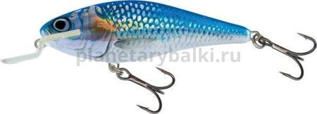 Воблер плавающий Salmo EXECUTOR SR 70мм, 8гр., 2м, цвет HSH для рыбалки, Воблер плавающий Salmo EXECUTOR SR 70мм, 8гр., 2м, цвет HSH отзывы, Воблер плавающий Salmo EXECUTOR SR 70мм, 8гр., 2м, цвет HSH купить, Воблер плавающий Salmo EXECUTOR SR 70мм, 8гр., 2м, цвет HSH купить в интернет магазине, Воблер плавающий Salmo EXECUTOR SR 70мм, 8гр., 2м, цвет HSH выбрать, Воблер плавающий Salmo EXECUTOR SR 70мм, 8гр., 2м, цвет HSH обзор, Воблер плавающий Salmo EXECUTOR SR 70мм, 8гр., 2м, цвет HSH купить в розничном магазине