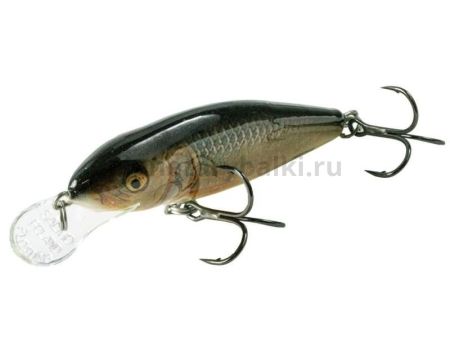Воблер плавающий Salmo PERCH F 80мм, 12гр., 2м, цвет RR