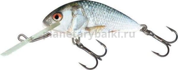 Воблер плавающий Salmo HORNET F 50мм, 7гр., 2-3м, цвет RD