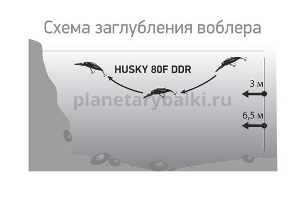 Воблер LureMax HUSKY  80F DDR, 80мм, 14гр., 2,5-3м, цвет 041 для рыбалки, Воблер LureMax HUSKY  80F DDR, 80мм, 14гр., 2,5-3м, цвет 041 отзывы, Воблер LureMax HUSKY  80F DDR, 80мм, 14гр., 2,5-3м, цвет 041 купить, Воблер LureMax HUSKY  80F DDR, 80мм, 14гр., 2,5-3м, цвет 041 купить в интернет магазине, Воблер LureMax HUSKY  80F DDR, 80мм, 14гр., 2,5-3м, цвет 041 выбрать, Воблер LureMax HUSKY  80F DDR, 80мм, 14гр., 2,5-3м, цвет 041 обзор, Воблер LureMax HUSKY  80F DDR, 80мм, 14гр., 2,5-3м, цвет 041 купить в розничном магазине