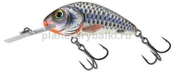 Воблер плавающий Salmo HORNET RATTLIN F 65мм, 20гр., 2,5-5м, цвет SHS