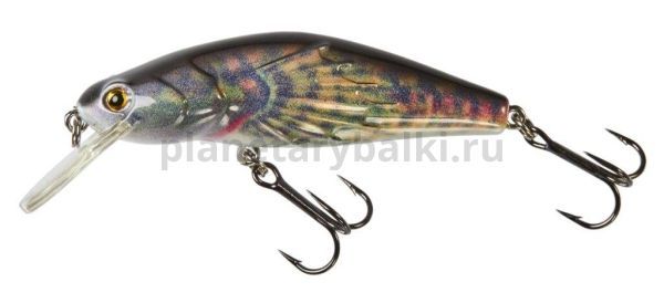 Воблер тонущий LUCKY JOHN Original BULLHEAD S 65мм, 10гр., до 2м, цвет BH04 для рыбалки, Воблер тонущий LUCKY JOHN Original BULLHEAD S 65мм, 10гр., до 2м, цвет BH04 отзывы, Воблер тонущий LUCKY JOHN Original BULLHEAD S 65мм, 10гр., до 2м, цвет BH04 купить, Воблер тонущий LUCKY JOHN Original BULLHEAD S 65мм, 10гр., до 2м, цвет BH04 купить в интернет магазине, Воблер тонущий LUCKY JOHN Original BULLHEAD S 65мм, 10гр., до 2м, цвет BH04 выбрать, Воблер тонущий LUCKY JOHN Original BULLHEAD S 65мм, 10гр., до 2м, цвет BH04 обзор, Воблер тонущий LUCKY JOHN Original BULLHEAD S 65мм, 10гр., до 2м, цвет BH04 купить в розничном магазине