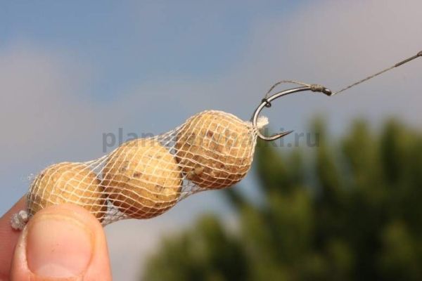 KORDA Сетка PVA запасная Boilie Funnel Web Micromesh 20м для рыбалки, KORDA Сетка PVA запасная Boilie Funnel Web Micromesh 20м отзывы, KORDA Сетка PVA запасная Boilie Funnel Web Micromesh 20м купить, KORDA Сетка PVA запасная Boilie Funnel Web Micromesh 20м купить в интернет магазине, KORDA Сетка PVA запасная Boilie Funnel Web Micromesh 20м выбрать, KORDA Сетка PVA запасная Boilie Funnel Web Micromesh 20м обзор, KORDA Сетка PVA запасная Boilie Funnel Web Micromesh 20м купить в розничном магазине