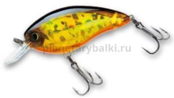 Воблер Yo-Zuri 3DS Crank SR 50F, 50мм, 8гр., 0,5-1м, цвет HGBL