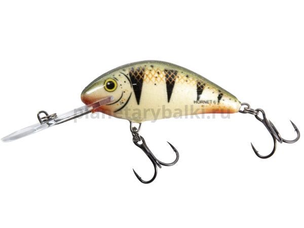 Воблер плавающий Salmo HORNET F 60мм, 10гр., 2-5,6м, цвет NP для рыбалки, Воблер плавающий Salmo HORNET F 60мм, 10гр., 2-5,6м, цвет NP отзывы, Воблер плавающий Salmo HORNET F 60мм, 10гр., 2-5,6м, цвет NP купить, Воблер плавающий Salmo HORNET F 60мм, 10гр., 2-5,6м, цвет NP купить в интернет магазине, Воблер плавающий Salmo HORNET F 60мм, 10гр., 2-5,6м, цвет NP выбрать, Воблер плавающий Salmo HORNET F 60мм, 10гр., 2-5,6м, цвет NP обзор, Воблер плавающий Salmo HORNET F 60мм, 10гр., 2-5,6м, цвет NP купить в розничном магазине