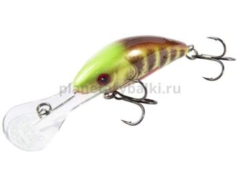 Воблер плавающий Salmo HORNET F 60мм, 10гр., 2-5,6м, цвет SBP