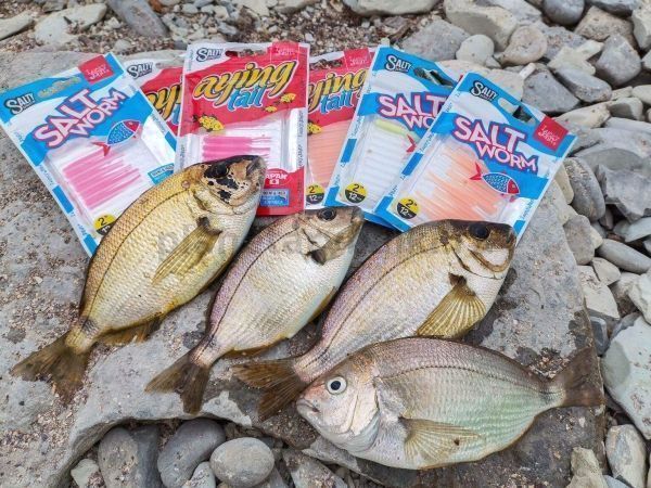 Черви Lucky John Salty Sensation SALT WORM 2.0in 5,1см, цвет S31, 12шт. для рыбалки, Черви Lucky John Salty Sensation SALT WORM 2.0in 5,1см, цвет S31, 12шт. отзывы, Черви Lucky John Salty Sensation SALT WORM 2.0in 5,1см, цвет S31, 12шт. купить, Черви Lucky John Salty Sensation SALT WORM 2.0in 5,1см, цвет S31, 12шт. купить в интернет магазине, Черви Lucky John Salty Sensation SALT WORM 2.0in 5,1см, цвет S31, 12шт. выбрать, Черви Lucky John Salty Sensation SALT WORM 2.0in 5,1см, цвет S31, 12шт. обзор, Черви Lucky John Salty Sensation SALT WORM 2.0in 5,1см, цвет S31, 12шт. купить в розничном магазине
