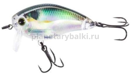 Воблер Yo-Zuri 3DR Wake Bait 50F 50мм, 8,5гр., 0-0,3м, цвет RGZS
