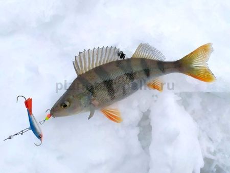 Балансир Lucky John NORDIC 5 50мм, 21гр., 15HRT для рыбалки, Балансир Lucky John NORDIC 5 50мм, 21гр., 15HRT отзывы, Балансир Lucky John NORDIC 5 50мм, 21гр., 15HRT купить, Балансир Lucky John NORDIC 5 50мм, 21гр., 15HRT купить в интернет магазине, Балансир Lucky John NORDIC 5 50мм, 21гр., 15HRT выбрать, Балансир Lucky John NORDIC 5 50мм, 21гр., 15HRT обзор, Балансир Lucky John NORDIC 5 50мм, 21гр., 15HRT купить в розничном магазине