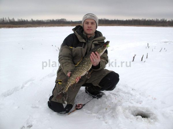 Балансир Lucky John FIN 5 с тройником 70мм, 20гр., 31RT блистер для рыбалки, Балансир Lucky John FIN 5 с тройником 70мм, 20гр., 31RT блистер отзывы, Балансир Lucky John FIN 5 с тройником 70мм, 20гр., 31RT блистер купить, Балансир Lucky John FIN 5 с тройником 70мм, 20гр., 31RT блистер купить в интернет магазине, Балансир Lucky John FIN 5 с тройником 70мм, 20гр., 31RT блистер выбрать, Балансир Lucky John FIN 5 с тройником 70мм, 20гр., 31RT блистер обзор, Балансир Lucky John FIN 5 с тройником 70мм, 20гр., 31RT блистер купить в розничном магазине