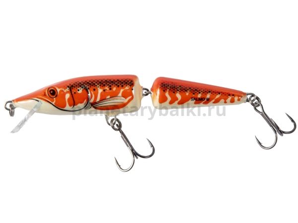 Воблер плавающий двухсоставной Salmo PIKE JF11 110мм, 13гр., 0,5-1м, цвет APE для рыбалки, Воблер плавающий двухсоставной Salmo PIKE JF11 110мм, 13гр., 0,5-1м, цвет APE отзывы, Воблер плавающий двухсоставной Salmo PIKE JF11 110мм, 13гр., 0,5-1м, цвет APE купить, Воблер плавающий двухсоставной Salmo PIKE JF11 110мм, 13гр., 0,5-1м, цвет APE купить в интернет магазине, Воблер плавающий двухсоставной Salmo PIKE JF11 110мм, 13гр., 0,5-1м, цвет APE выбрать, Воблер плавающий двухсоставной Salmo PIKE JF11 110мм, 13гр., 0,5-1м, цвет APE обзор, Воблер плавающий двухсоставной Salmo PIKE JF11 110мм, 13гр., 0,5-1м, цвет APE купить в розничном магазине