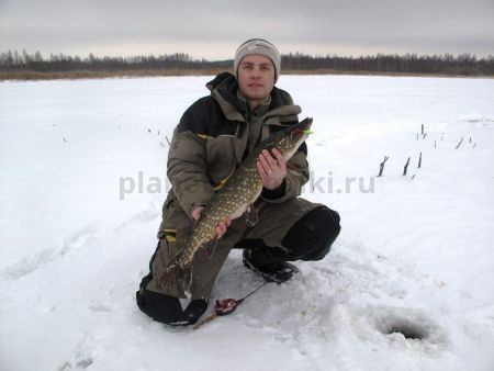 Балансир Lucky John FIN 5 70мм, 20гр., 31RT для рыбалки, Балансир Lucky John FIN 5 70мм, 20гр., 31RT отзывы, Балансир Lucky John FIN 5 70мм, 20гр., 31RT купить, Балансир Lucky John FIN 5 70мм, 20гр., 31RT купить в интернет магазине, Балансир Lucky John FIN 5 70мм, 20гр., 31RT выбрать, Балансир Lucky John FIN 5 70мм, 20гр., 31RT обзор, Балансир Lucky John FIN 5 70мм, 20гр., 31RT купить в розничном магазине