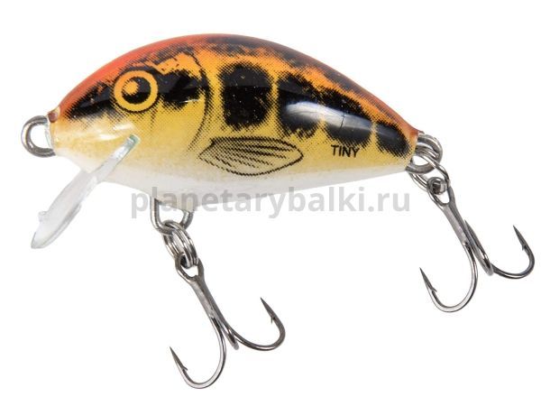 Воблер плавающий Salmo TINY F 30мм, 2гр., 0,2м, цвет BM для рыбалки, Воблер плавающий Salmo TINY F 30мм, 2гр., 0,2м, цвет BM отзывы, Воблер плавающий Salmo TINY F 30мм, 2гр., 0,2м, цвет BM купить, Воблер плавающий Salmo TINY F 30мм, 2гр., 0,2м, цвет BM купить в интернет магазине, Воблер плавающий Salmo TINY F 30мм, 2гр., 0,2м, цвет BM выбрать, Воблер плавающий Salmo TINY F 30мм, 2гр., 0,2м, цвет BM обзор, Воблер плавающий Salmo TINY F 30мм, 2гр., 0,2м, цвет BM купить в розничном магазине