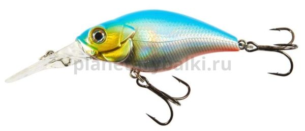 Воблер плавающий LUCKY JOHN Original SHADY CRANK F 60мм, 12,8гр., 1,2-3м, цвет A026 для рыбалки, Воблер плавающий LUCKY JOHN Original SHADY CRANK F 60мм, 12,8гр., 1,2-3м, цвет A026 отзывы, Воблер плавающий LUCKY JOHN Original SHADY CRANK F 60мм, 12,8гр., 1,2-3м, цвет A026 купить, Воблер плавающий LUCKY JOHN Original SHADY CRANK F 60мм, 12,8гр., 1,2-3м, цвет A026 купить в интернет магазине, Воблер плавающий LUCKY JOHN Original SHADY CRANK F 60мм, 12,8гр., 1,2-3м, цвет A026 выбрать, Воблер плавающий LUCKY JOHN Original SHADY CRANK F 60мм, 12,8гр., 1,2-3м, цвет A026 обзор, Воблер плавающий LUCKY JOHN Original SHADY CRANK F 60мм, 12,8гр., 1,2-3м, цвет A026 купить в розничном магазине