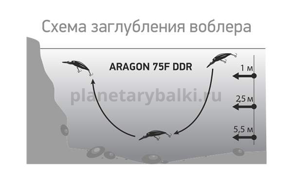 Воблер LureMax ARAGON 75F DDR 75мм, 11 гр., 4,5-5,5м, цвет 024 для рыбалки, Воблер LureMax ARAGON 75F DDR 75мм, 11 гр., 4,5-5,5м, цвет 024 отзывы, Воблер LureMax ARAGON 75F DDR 75мм, 11 гр., 4,5-5,5м, цвет 024 купить, Воблер LureMax ARAGON 75F DDR 75мм, 11 гр., 4,5-5,5м, цвет 024 купить в интернет магазине, Воблер LureMax ARAGON 75F DDR 75мм, 11 гр., 4,5-5,5м, цвет 024 выбрать, Воблер LureMax ARAGON 75F DDR 75мм, 11 гр., 4,5-5,5м, цвет 024 обзор, Воблер LureMax ARAGON 75F DDR 75мм, 11 гр., 4,5-5,5м, цвет 024 купить в розничном магазине