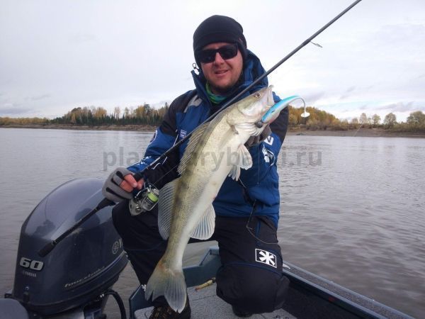 Виброхвост Lucky John 3D Series BASARA SOFT SWIM 6.0in 15,24см, цвет PG12, 3шт. для рыбалки, Виброхвост Lucky John 3D Series BASARA SOFT SWIM 6.0in 15,24см, цвет PG12, 3шт. отзывы, Виброхвост Lucky John 3D Series BASARA SOFT SWIM 6.0in 15,24см, цвет PG12, 3шт. купить, Виброхвост Lucky John 3D Series BASARA SOFT SWIM 6.0in 15,24см, цвет PG12, 3шт. купить в интернет магазине, Виброхвост Lucky John 3D Series BASARA SOFT SWIM 6.0in 15,24см, цвет PG12, 3шт. выбрать, Виброхвост Lucky John 3D Series BASARA SOFT SWIM 6.0in 15,24см, цвет PG12, 3шт. обзор, Виброхвост Lucky John 3D Series BASARA SOFT SWIM 6.0in 15,24см, цвет PG12, 3шт. купить в розничном магазине