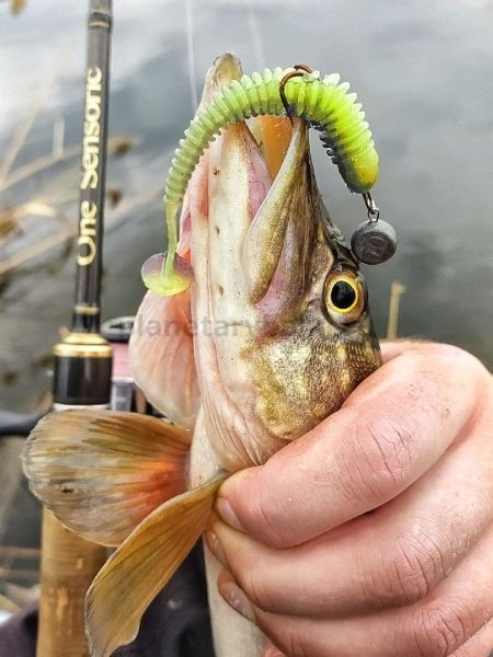 Виброхвост LUCKY JOHN Pro Series Spark Tail 2,0in 5см, цвет T53, 10шт. для рыбалки, Виброхвост LUCKY JOHN Pro Series Spark Tail 2,0in 5см, цвет T53, 10шт. отзывы, Виброхвост LUCKY JOHN Pro Series Spark Tail 2,0in 5см, цвет T53, 10шт. купить, Виброхвост LUCKY JOHN Pro Series Spark Tail 2,0in 5см, цвет T53, 10шт. купить в интернет магазине, Виброхвост LUCKY JOHN Pro Series Spark Tail 2,0in 5см, цвет T53, 10шт. выбрать, Виброхвост LUCKY JOHN Pro Series Spark Tail 2,0in 5см, цвет T53, 10шт. обзор, Виброхвост LUCKY JOHN Pro Series Spark Tail 2,0in 5см, цвет T53, 10шт. купить в розничном магазине