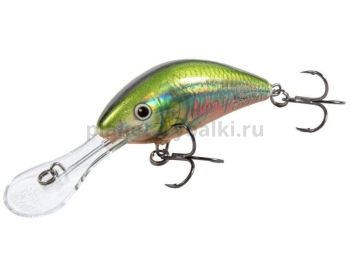 Воблер плавающий Salmo HORNET F 60мм, 10гр., 2-5,6м, цвет HO