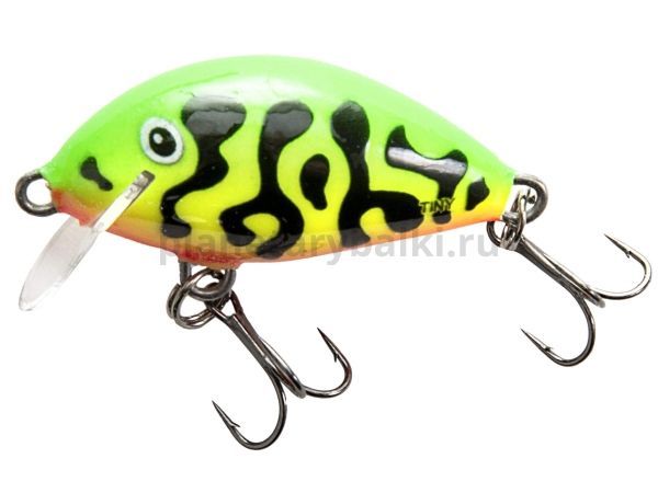 Воблер плавающий Salmo TINY F 30мм, 2гр., 0,2м, цвет GT для рыбалки, Воблер плавающий Salmo TINY F 30мм, 2гр., 0,2м, цвет GT отзывы, Воблер плавающий Salmo TINY F 30мм, 2гр., 0,2м, цвет GT купить, Воблер плавающий Salmo TINY F 30мм, 2гр., 0,2м, цвет GT купить в интернет магазине, Воблер плавающий Salmo TINY F 30мм, 2гр., 0,2м, цвет GT выбрать, Воблер плавающий Salmo TINY F 30мм, 2гр., 0,2м, цвет GT обзор, Воблер плавающий Salmo TINY F 30мм, 2гр., 0,2м, цвет GT купить в розничном магазине