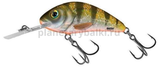 Воблер плавающий Salmo HORNET RATTLIN F 65мм, 20гр., 2,5-5м, цвет YHP