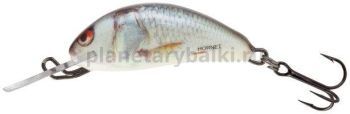 Воблер плавающий Salmo HORNET F03 35мм, 2,2гр., 1м, цвет RD