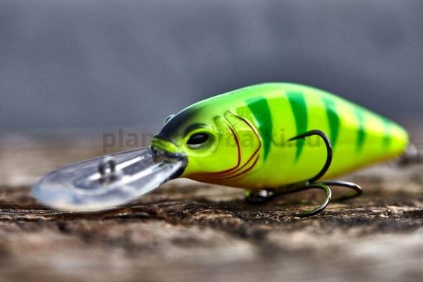 Воблер плавающий LUCKY JOHN ORIGINAL SHAD-X F 80мм, 13гр., 2,3м, цвет 009 для рыбалки, Воблер плавающий LUCKY JOHN ORIGINAL SHAD-X F 80мм, 13гр., 2,3м, цвет 009 отзывы, Воблер плавающий LUCKY JOHN ORIGINAL SHAD-X F 80мм, 13гр., 2,3м, цвет 009 купить, Воблер плавающий LUCKY JOHN ORIGINAL SHAD-X F 80мм, 13гр., 2,3м, цвет 009 купить в интернет магазине, Воблер плавающий LUCKY JOHN ORIGINAL SHAD-X F 80мм, 13гр., 2,3м, цвет 009 выбрать, Воблер плавающий LUCKY JOHN ORIGINAL SHAD-X F 80мм, 13гр., 2,3м, цвет 009 обзор, Воблер плавающий LUCKY JOHN ORIGINAL SHAD-X F 80мм, 13гр., 2,3м, цвет 009 купить в розничном магазине