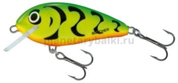 Воблер плавающий Salmo BUTCHER F 50мм, 5гр., 1,5м, цвет GRT